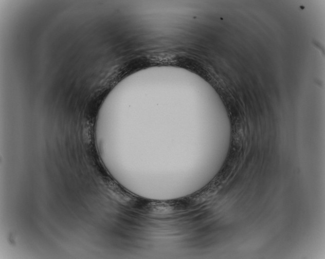 X0000097470658200803141914
