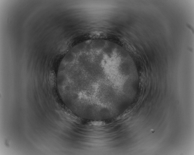 X0000097470659200803141914