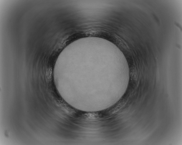 X0000097470660200803141914