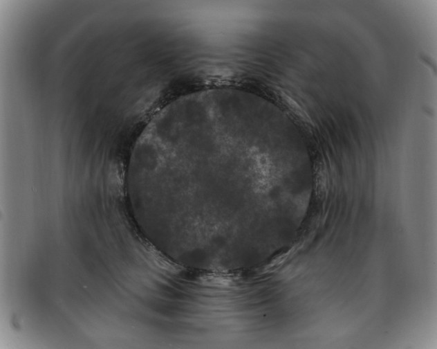 X0000097470661200803141914