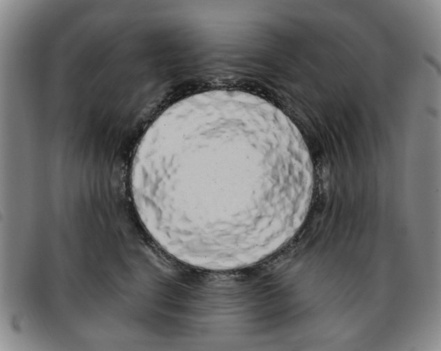 X0000097470664200803141914