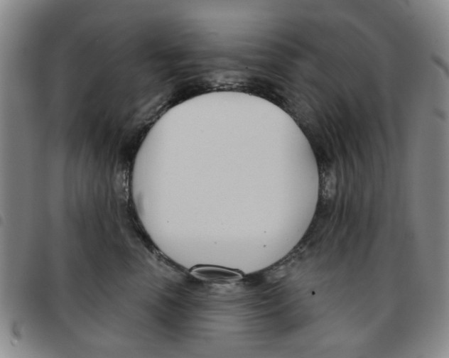 X0000097470666200803141914