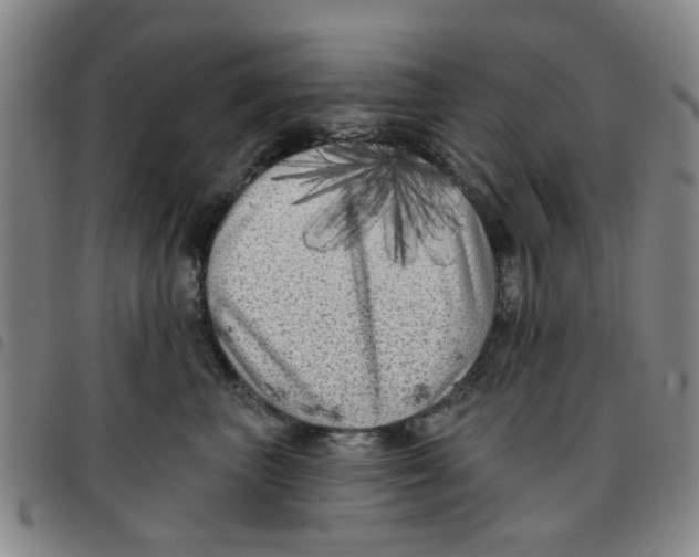 X0000097470667200803141914