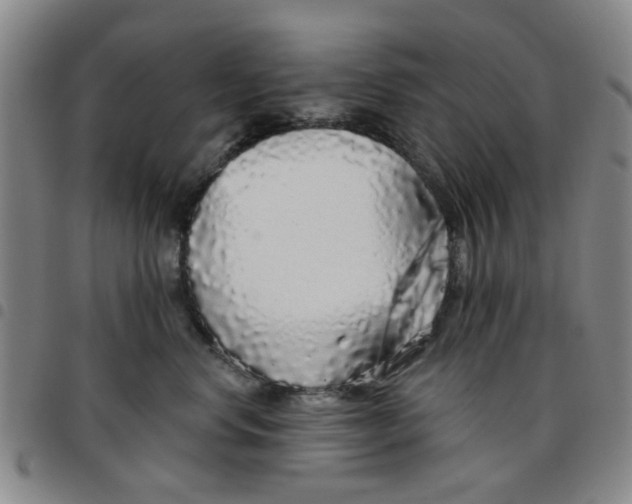 X0000097470668200803141914