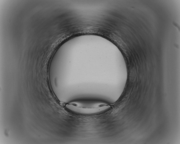 X0000097470673200803141913
