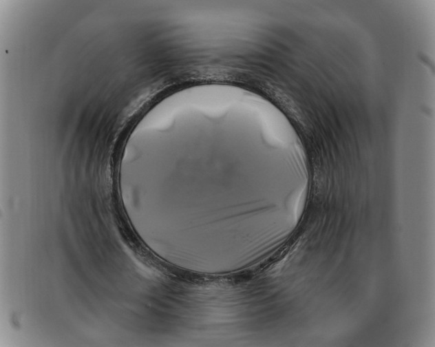 X0000097470674200803141913