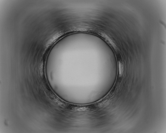 X0000097470675200803141913