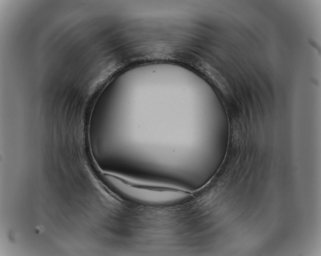 X0000097470677200803141913