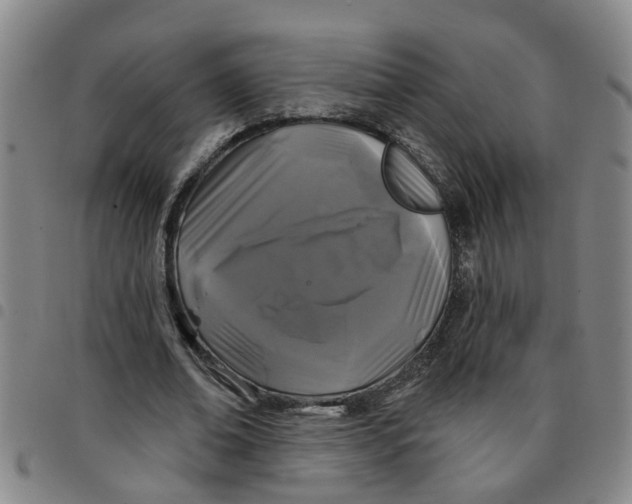 X0000097470678200803141913