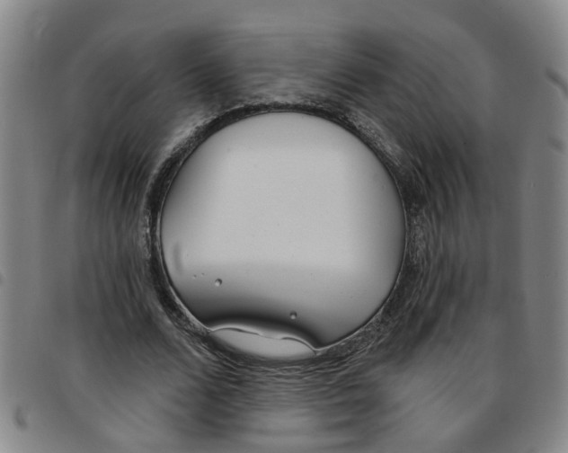 X0000097470680200803141913
