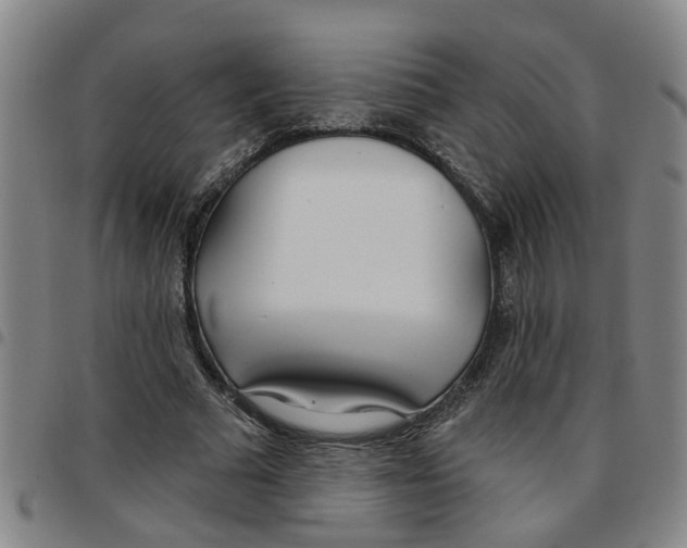 X0000097470681200803141913