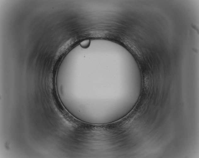 X0000097470682200803141913