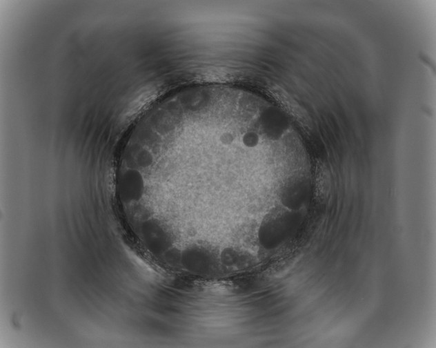 X0000097470683200803141913