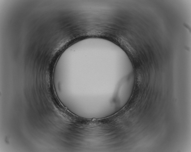 X0000097470684200803141913