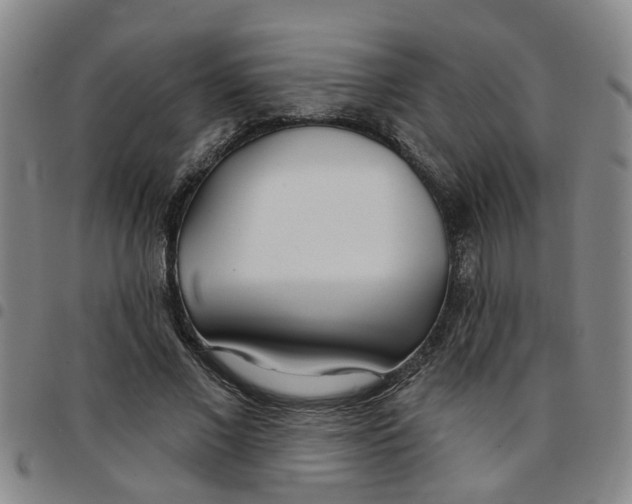 X0000097470685200803141913