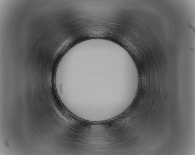 X0000097470686200803141913
