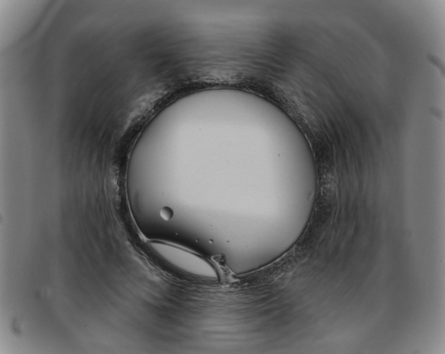 X0000097470688200803141913