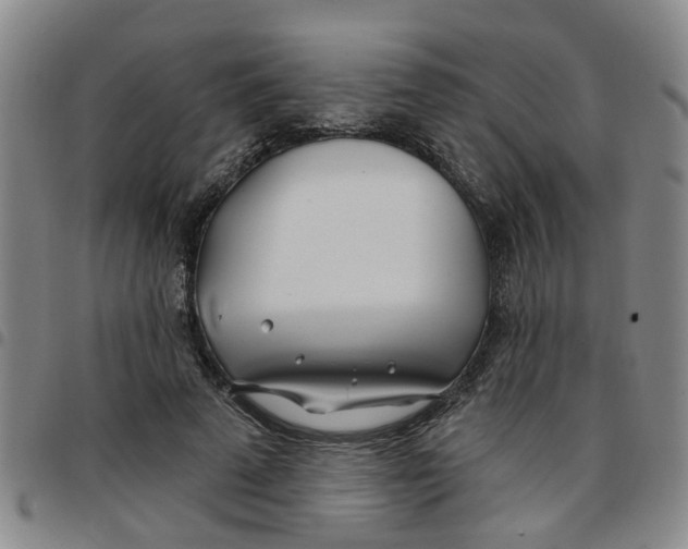 X0000097470689200803141913