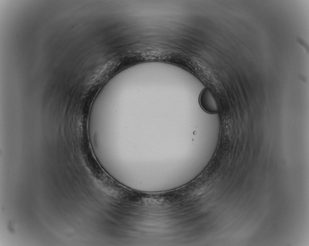 X0000097470690200803141913