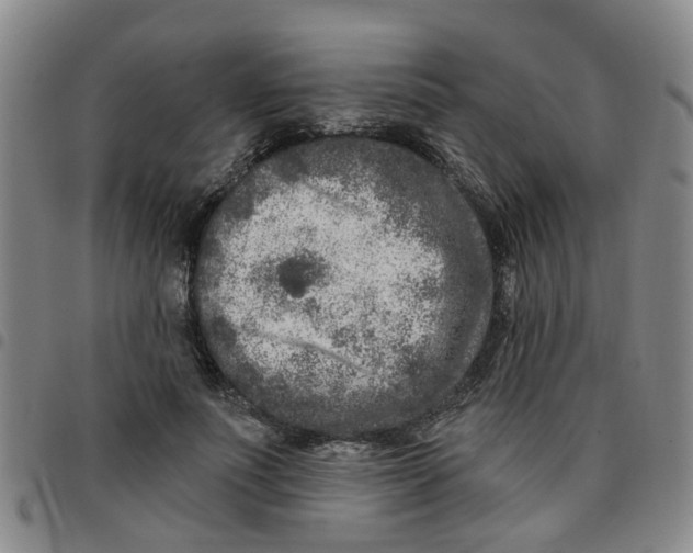 X0000097470691200803141913