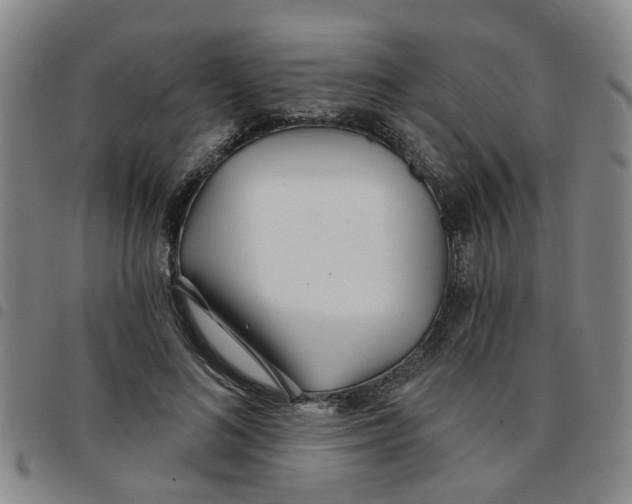 X0000097470692200803141913