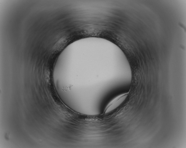 X0000097470693200803141913