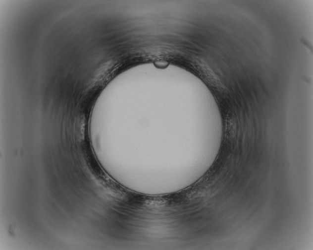 X0000097470694200803141913