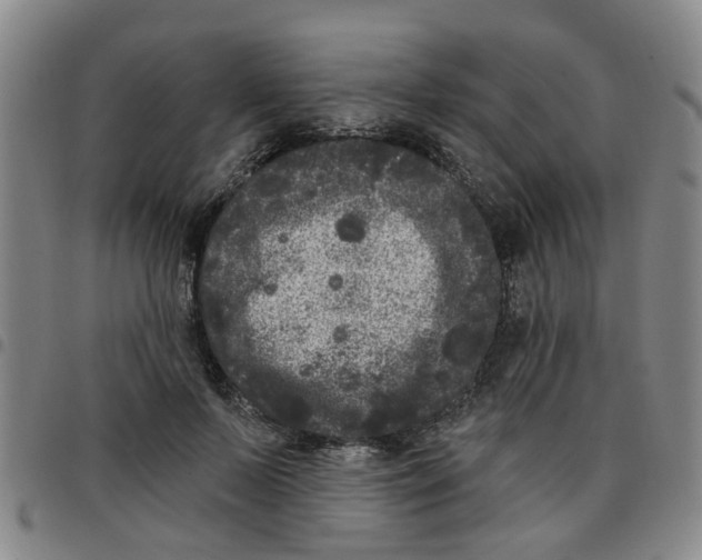 X0000097470695200803141913