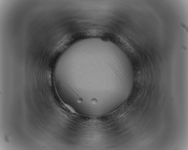 X0000097470696200803141913