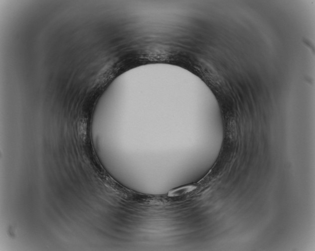 X0000097470697200803141913