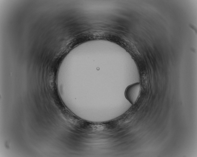 X0000097470698200803141913