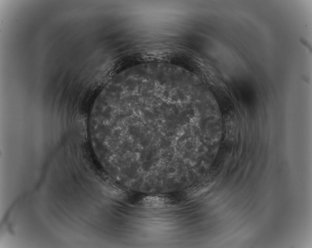 X0000097470699200803141913