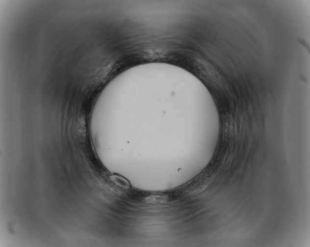 X0000097470700200803141913