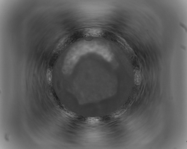 X0000097470701200803141913