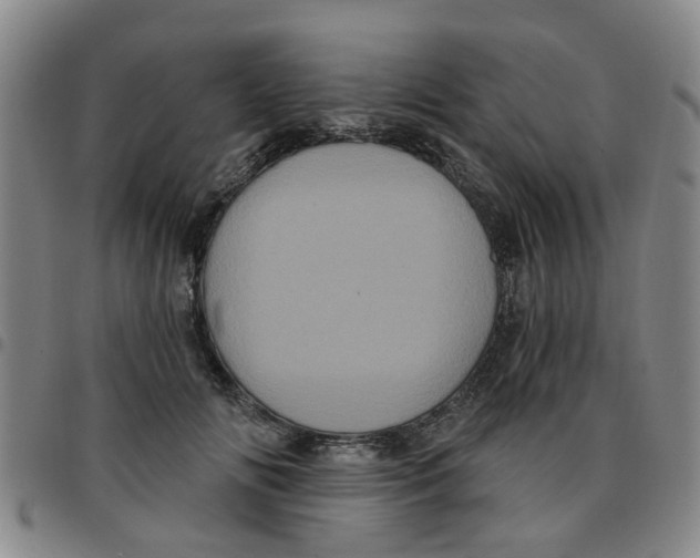 X0000097470702200803141913