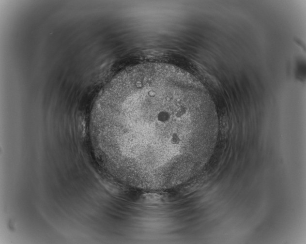 X0000097470703200803141913
