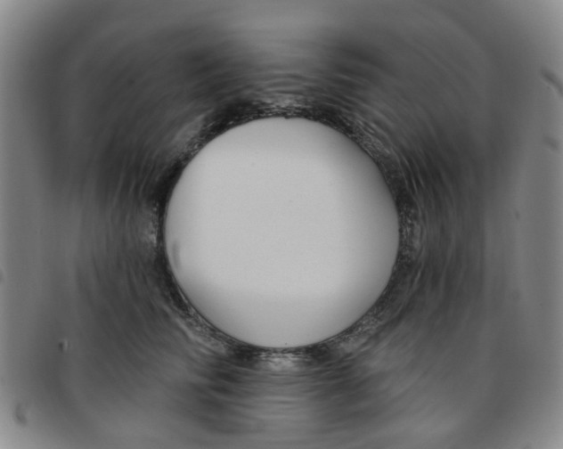 X0000097470710200803141913