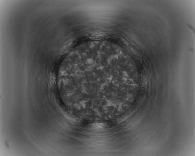 X0000097470711200803141913