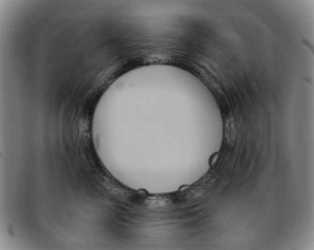 X0000097470714200803141913