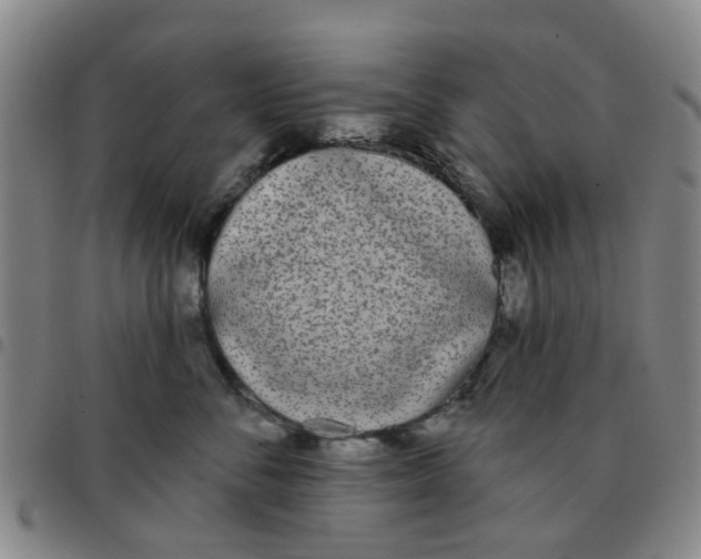 X0000097470716200803141913