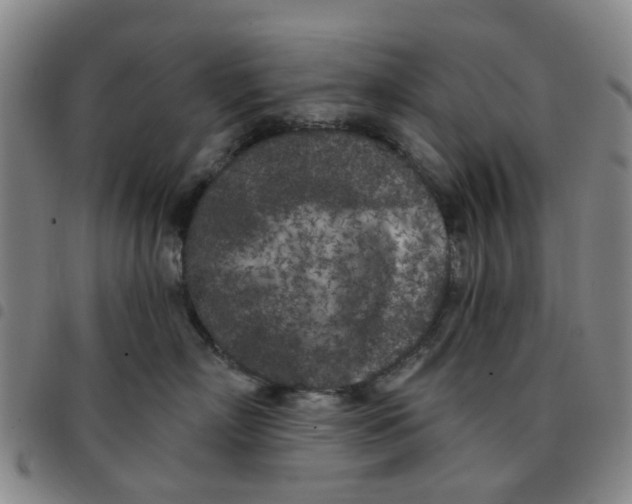 X0000097470718200803141913