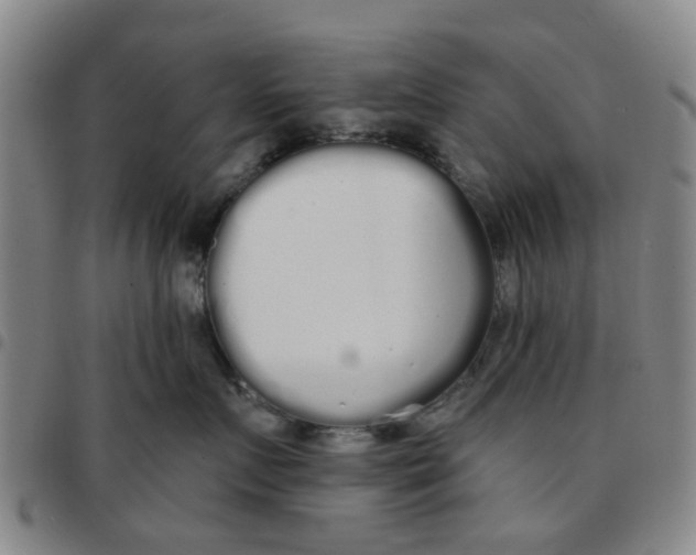 X0000097470719200803141913