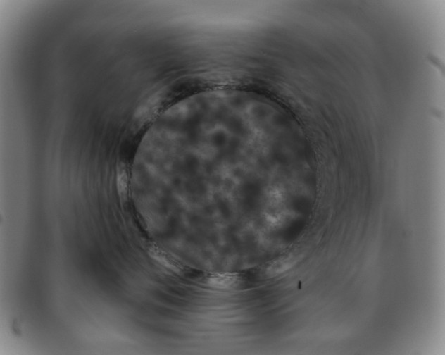 X0000097470720200803141913