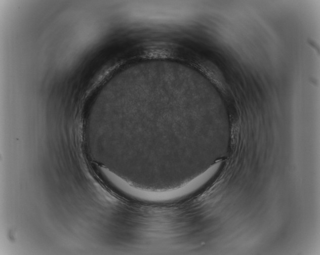 X0000097470722200803141912