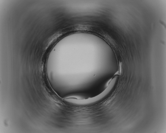 X0000097470723200803141912