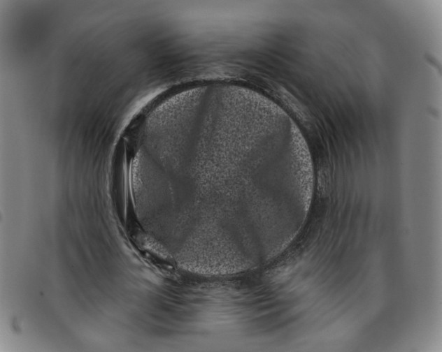 X0000097470724200803141912