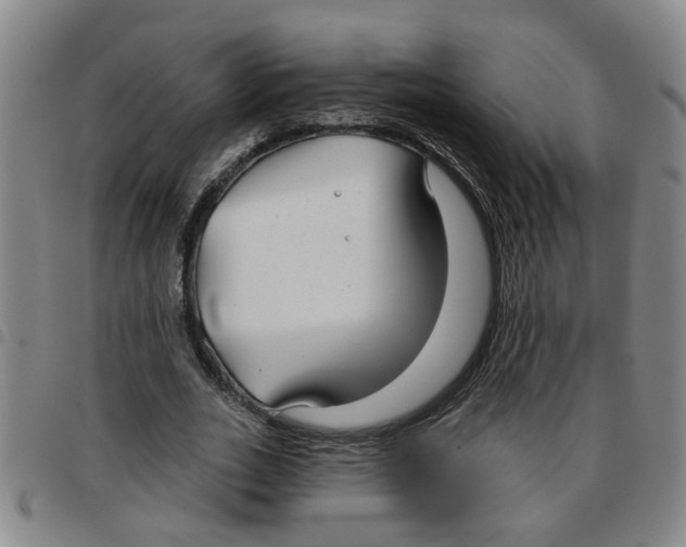 X0000097470727200803141912