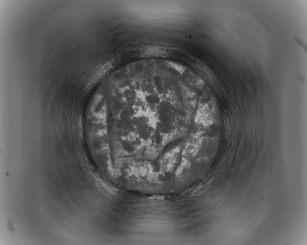 X0000097470729200803141912