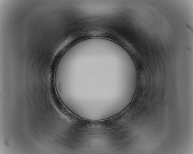 X0000097470730200803141912