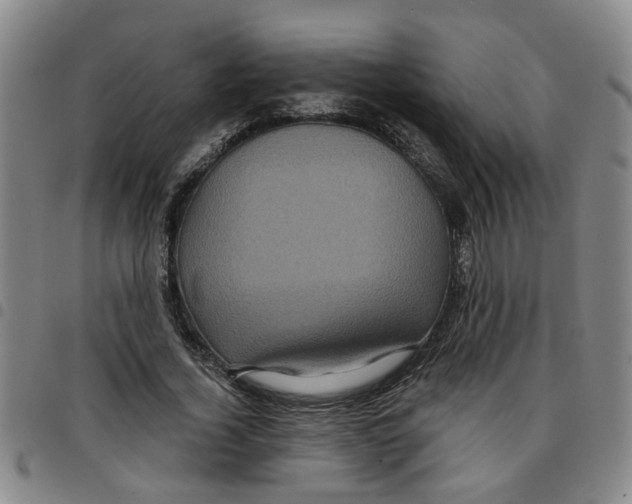 X0000097470732200803141912